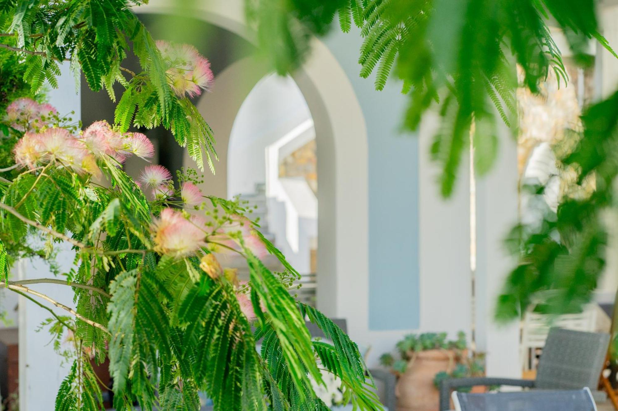 Villa Acacia ポンツァ エクステリア 写真