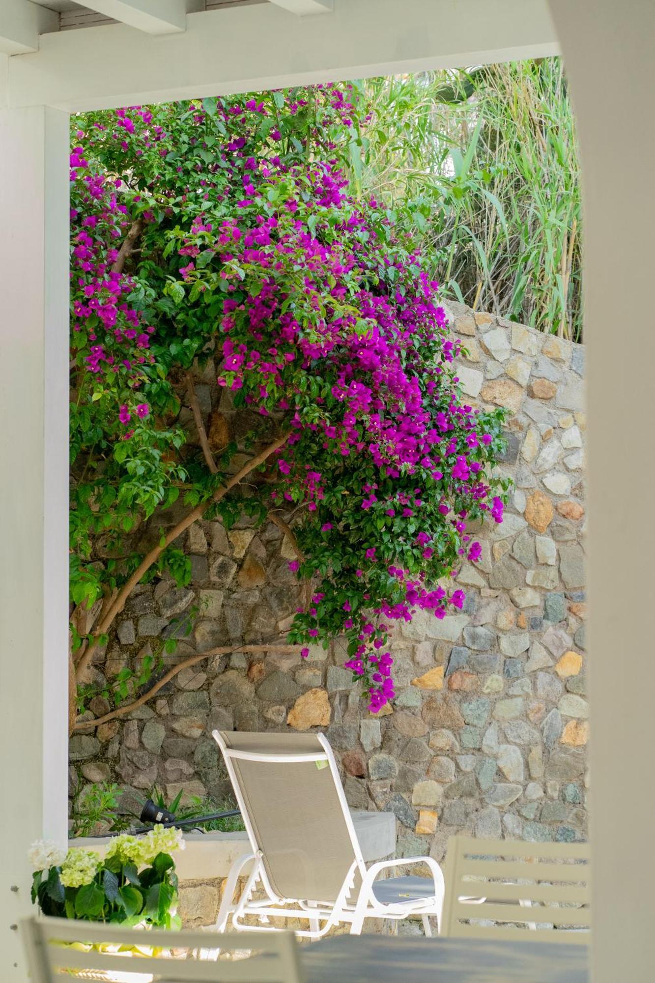 Villa Acacia ポンツァ エクステリア 写真