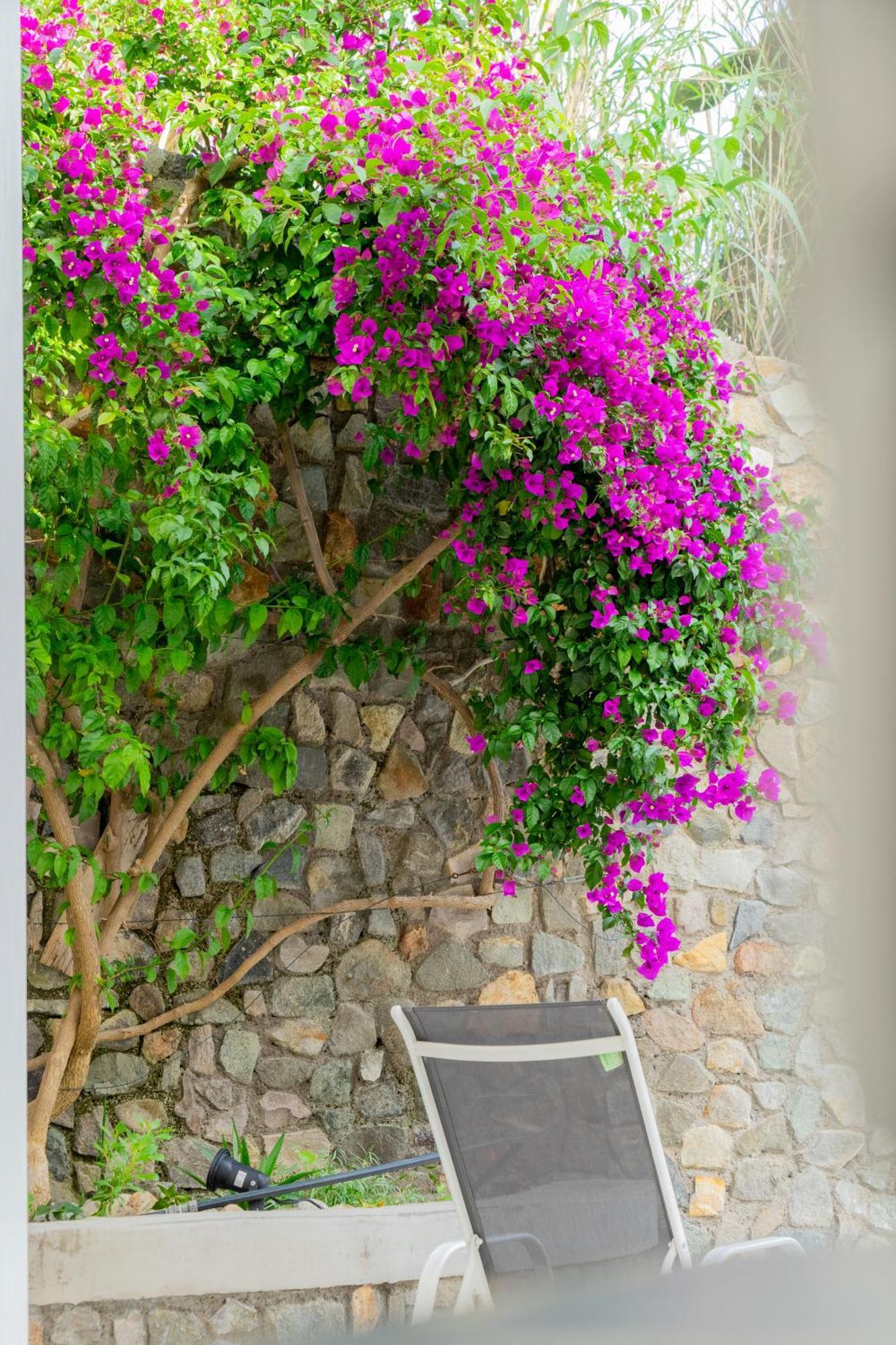 Villa Acacia ポンツァ エクステリア 写真