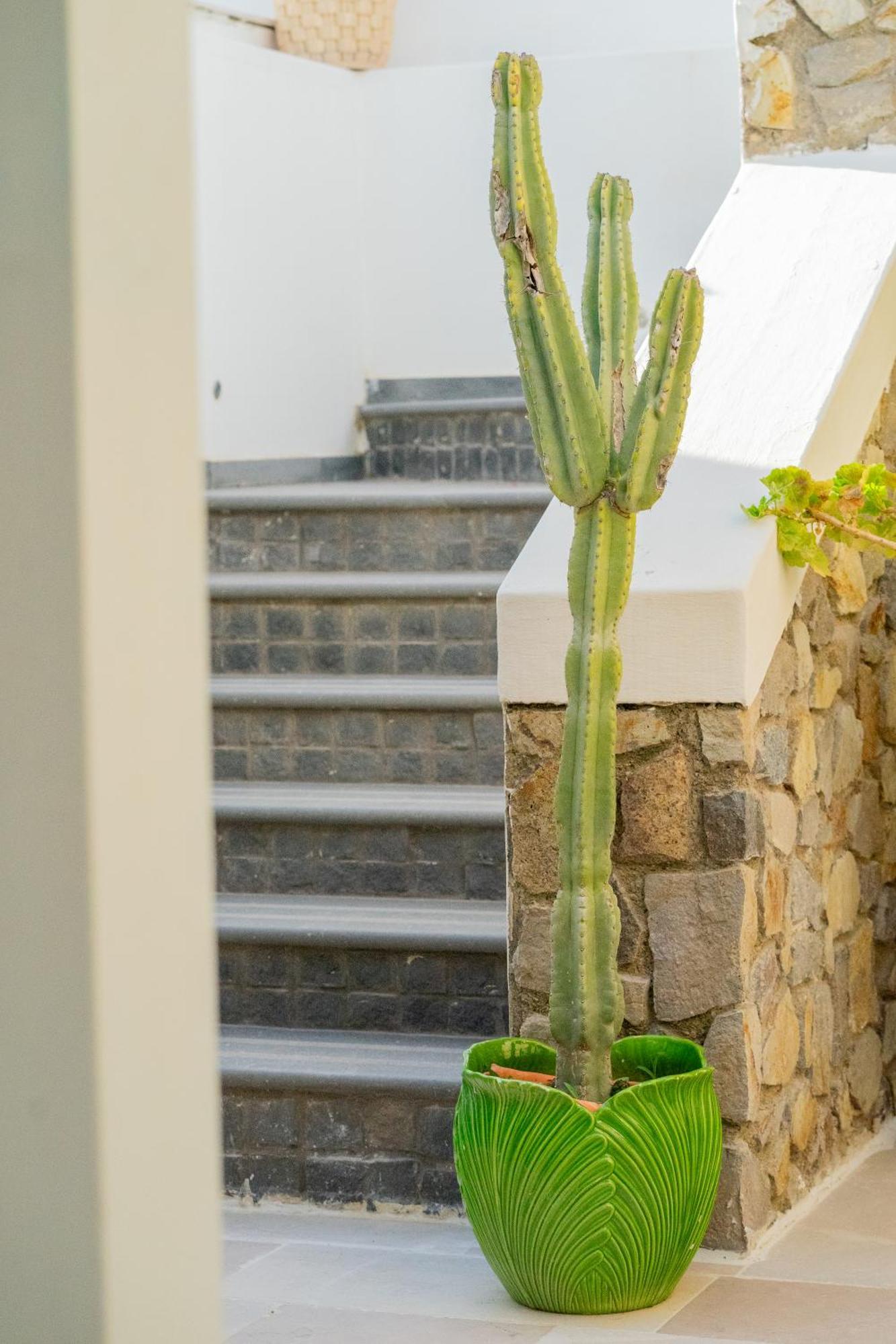 Villa Acacia ポンツァ エクステリア 写真